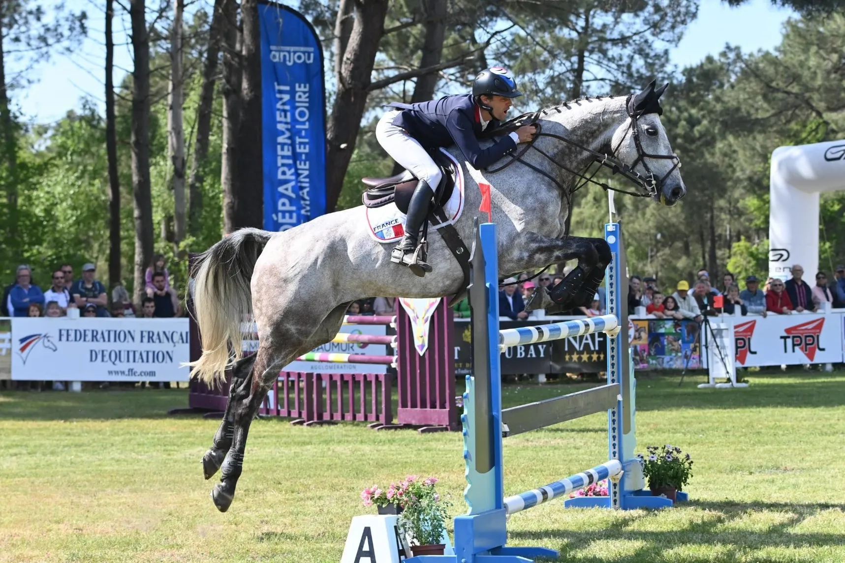 Nicolas Touzaint a trouvé en Diabolo Menthe "un deuxième cheval qui est plus que bon pour épauler Absolut."