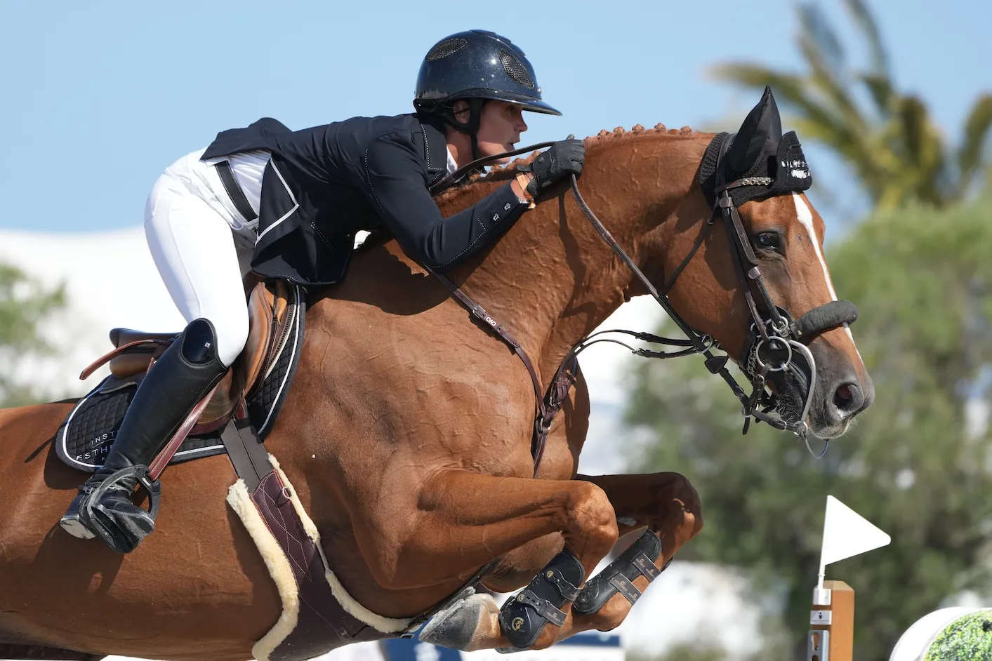 Dubai du Cèdre a récemment quitté les écuries Rocuet. 