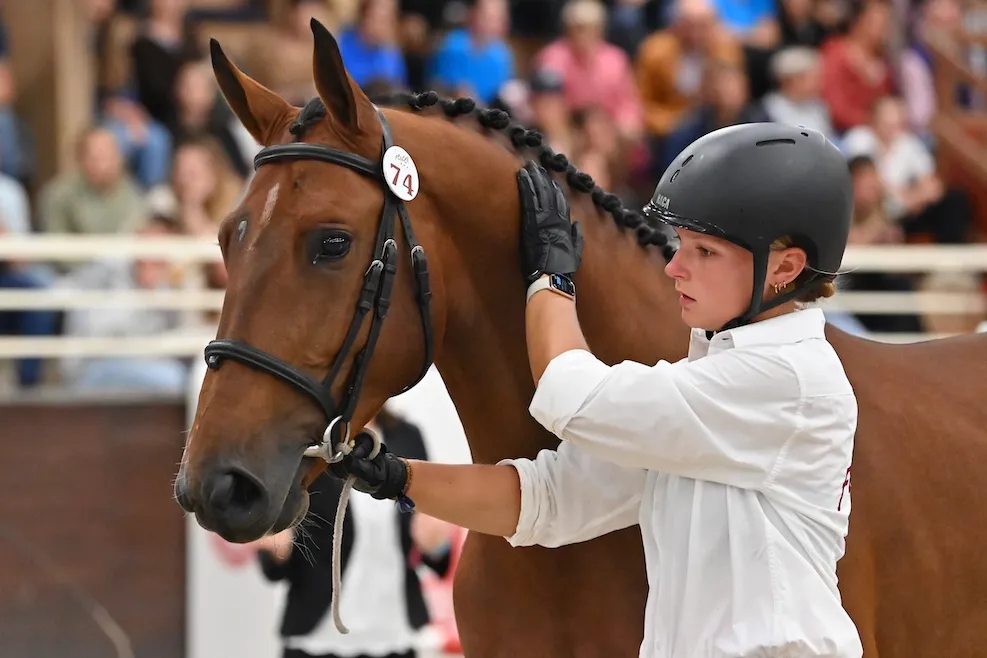 Marco Polo de Hus a été adjugé à 100.000 euros et restera en France.