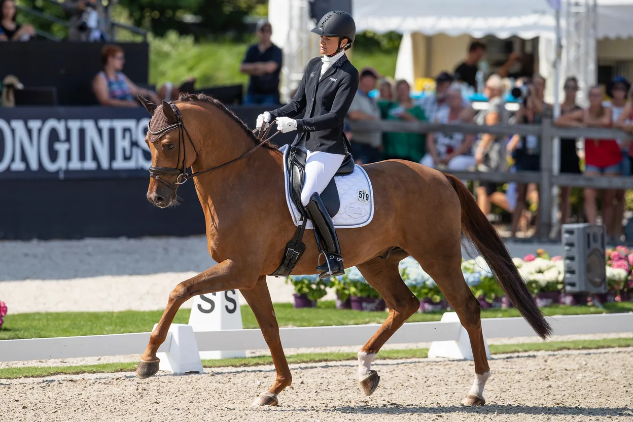 En 2018, Dorian Grey avait porté haut les couleurs du haras de Hus en terminant cinquième du championnat du monde des cinq ans.