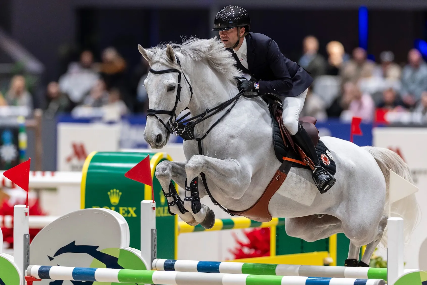 Arrivé dans le piquet de Simon Delestre à l’automne, Gatsby du Tillard s’impose peu à peu comme un partenaire d’avenir. 