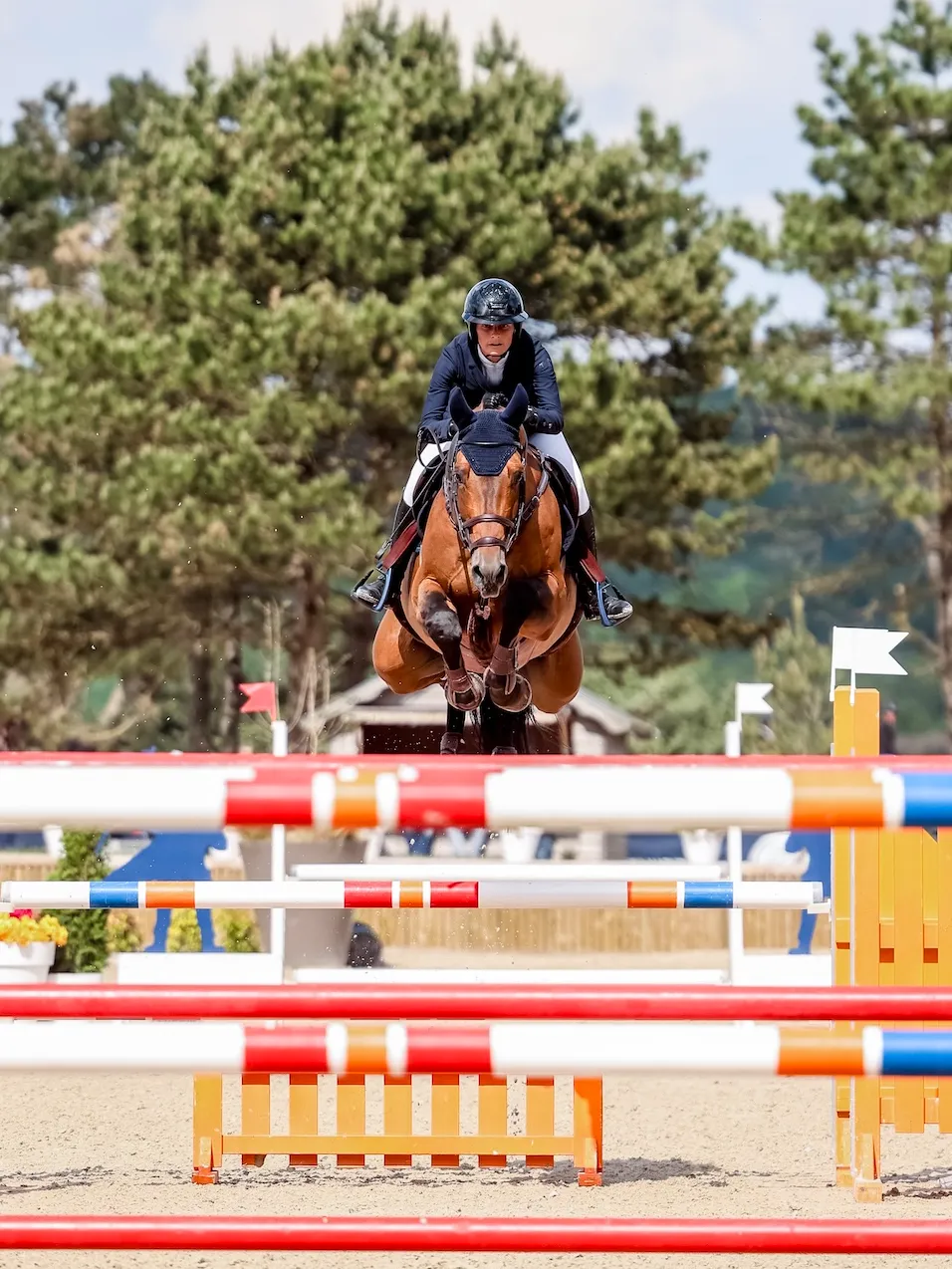 Sara Brionne et Grand Duc du Paradiso sont en pleine ascension.