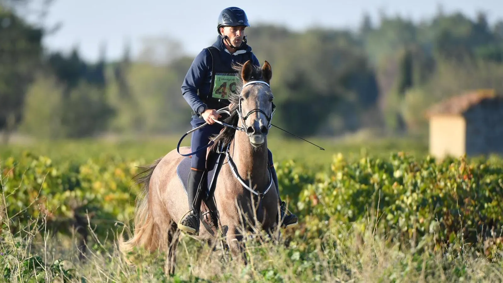 Laurent Mosti sur Haya d'Armani
