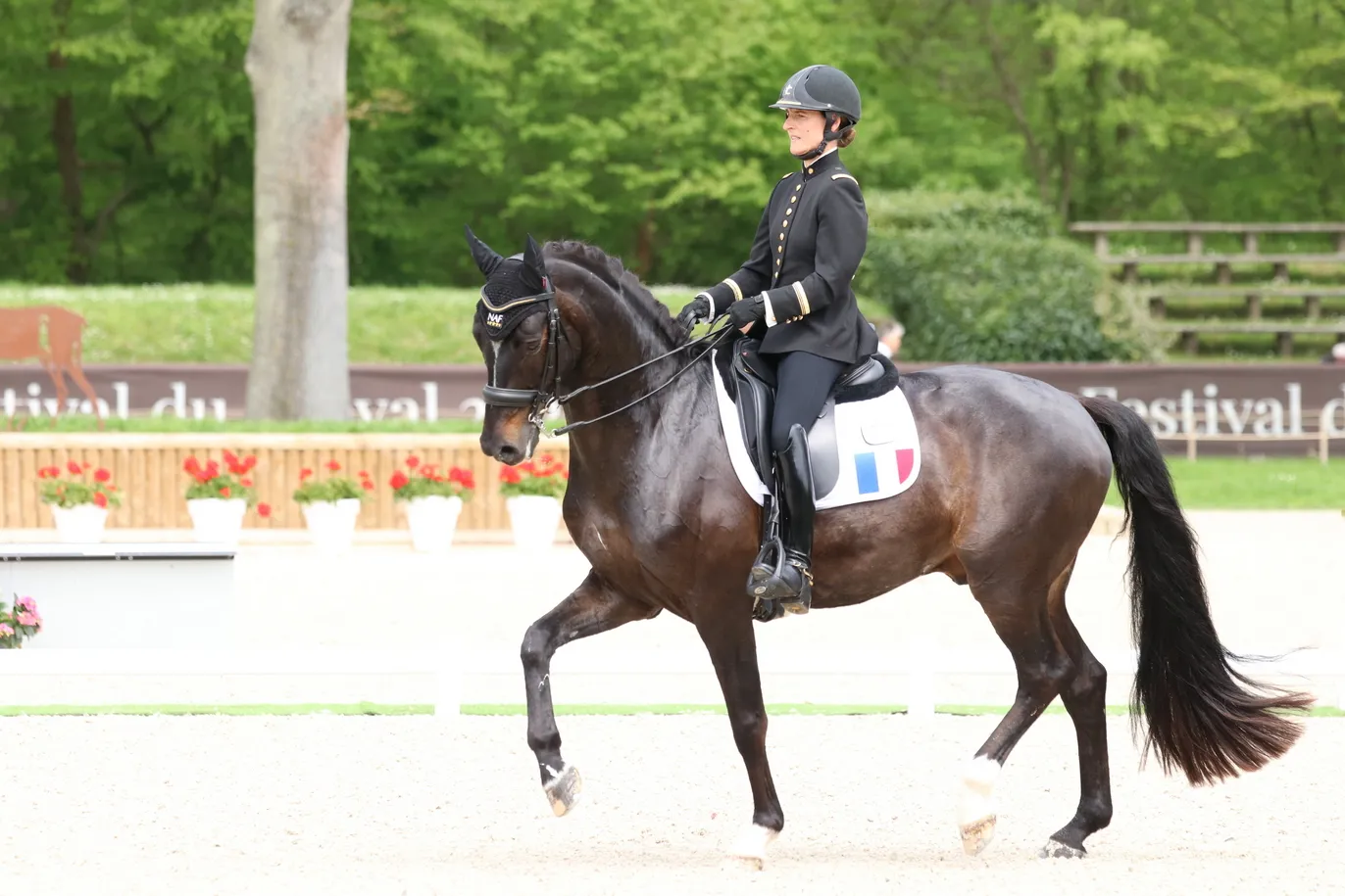 Raphaël Saleh a trouvé le début de présentation de Pauline Basquin "très harmonieux" dans le Spécial