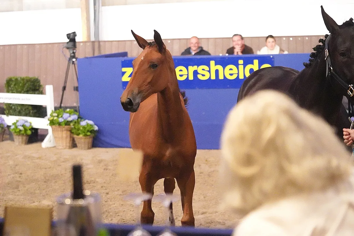 Emmerby vd Berghoeve Z adjugé 300.000 euros
