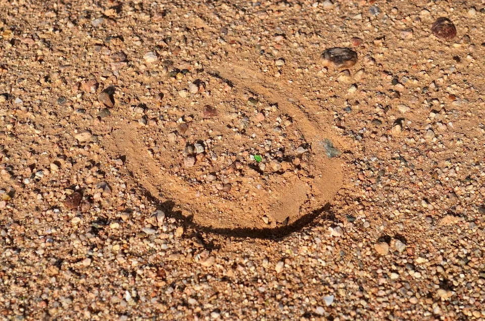 Une trace de fer très marquée indiquera un sol dur.