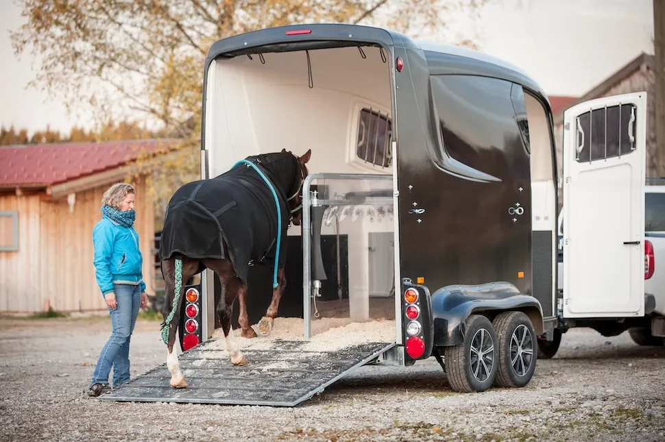 Un cheval serein dans les transports contribuera à sa bonne sécurité.