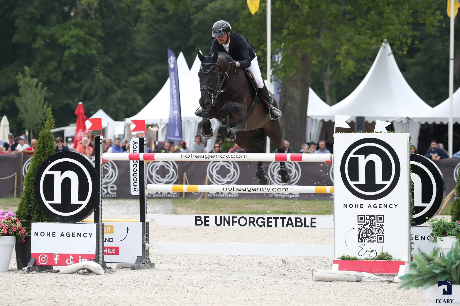 À quatorze ans, Ilex VP a encore répondu présent, deuxième de ce Grand Prix avec Nicolas Delmotte!