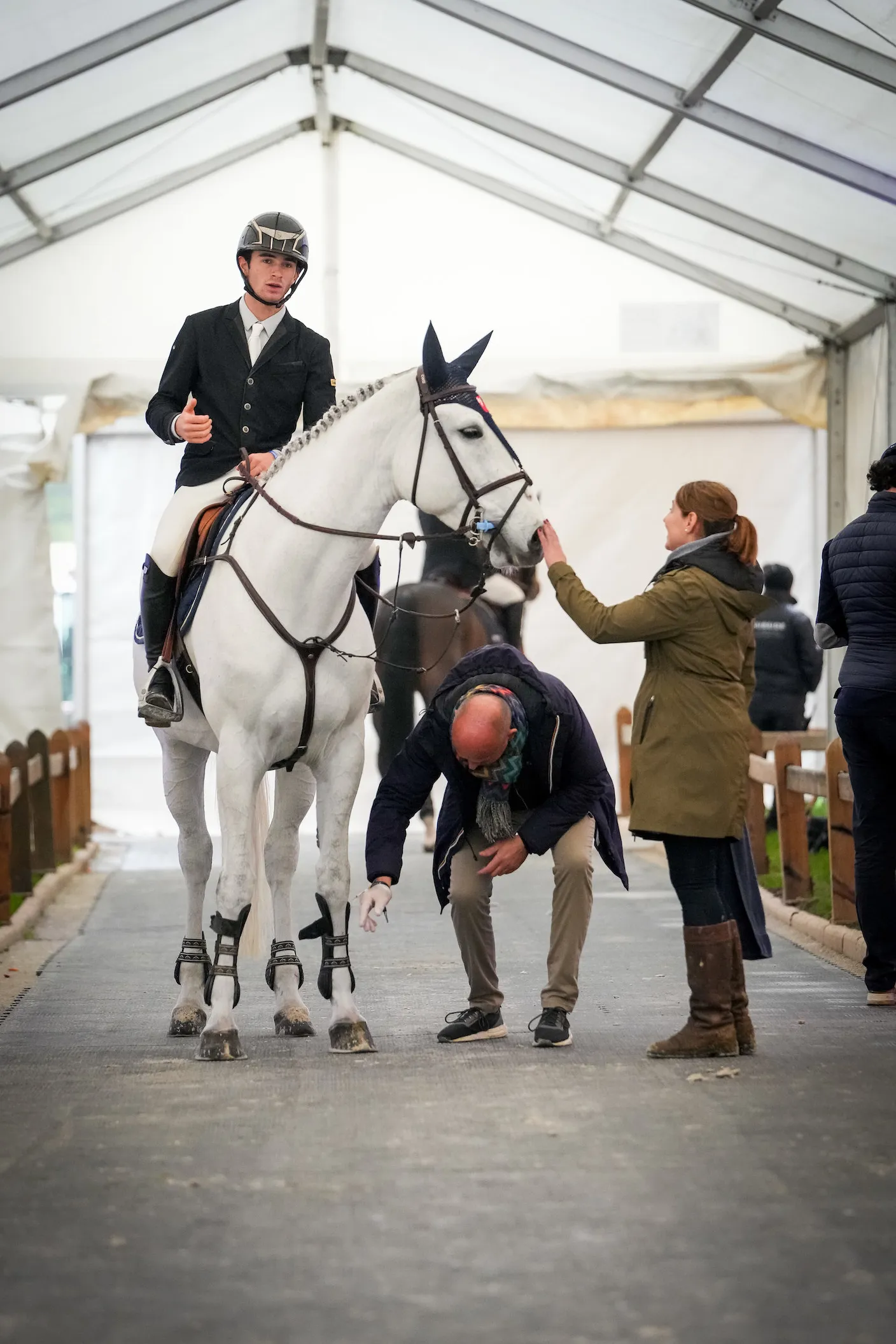 Antoine Ermann sur l’une de ses nouvelles recrues, Comic Star.   