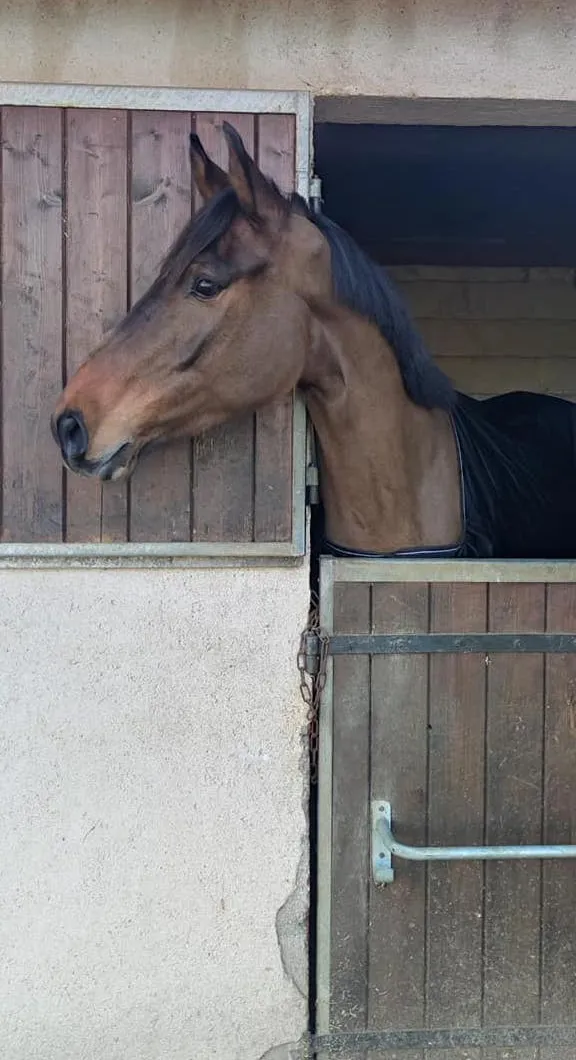 Nouvelle recrue de Marie-charlotte Fuss