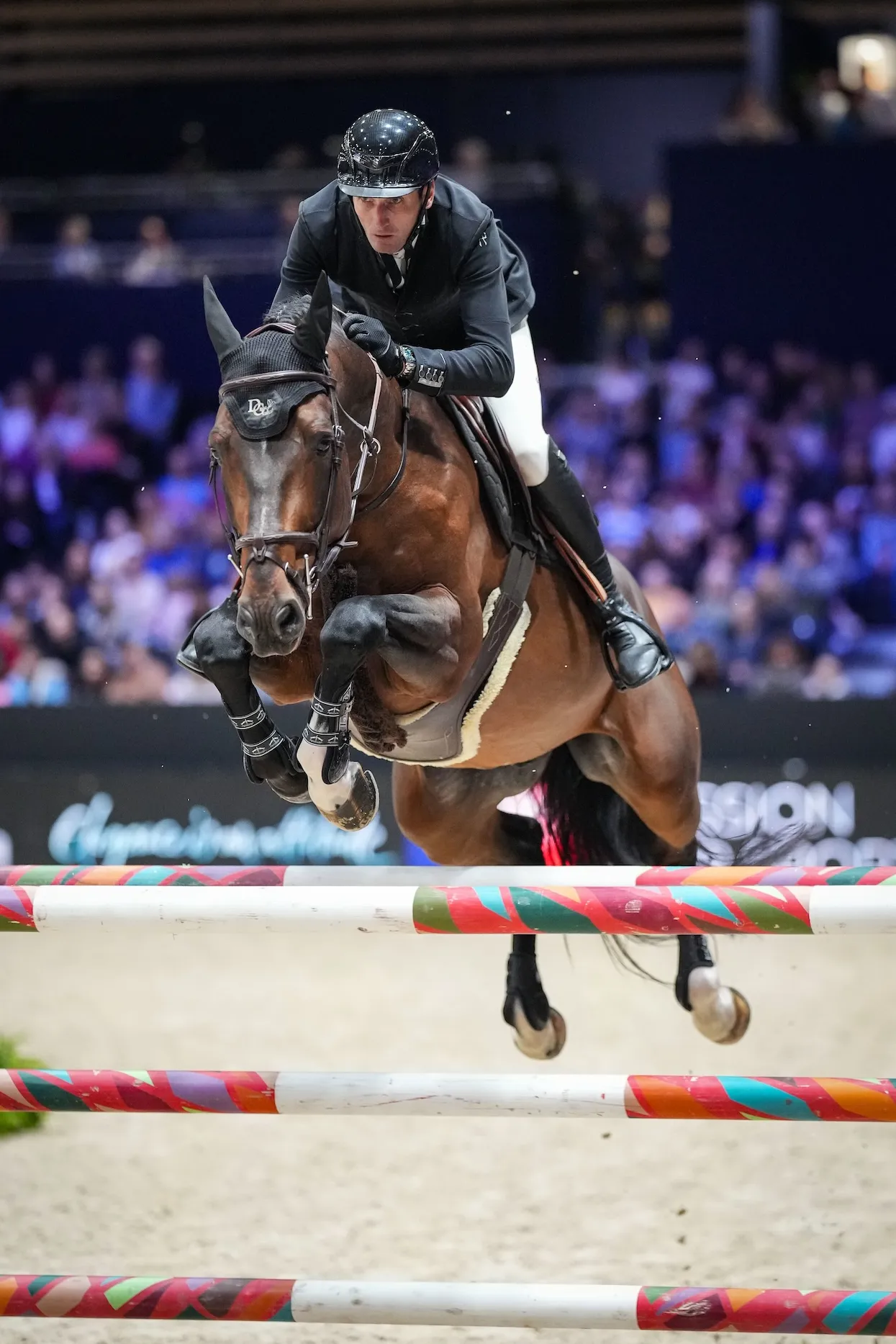 Grâce à son titre David Giffon a pu accéder au prestigieux CSI 5*-W de Lyon. 