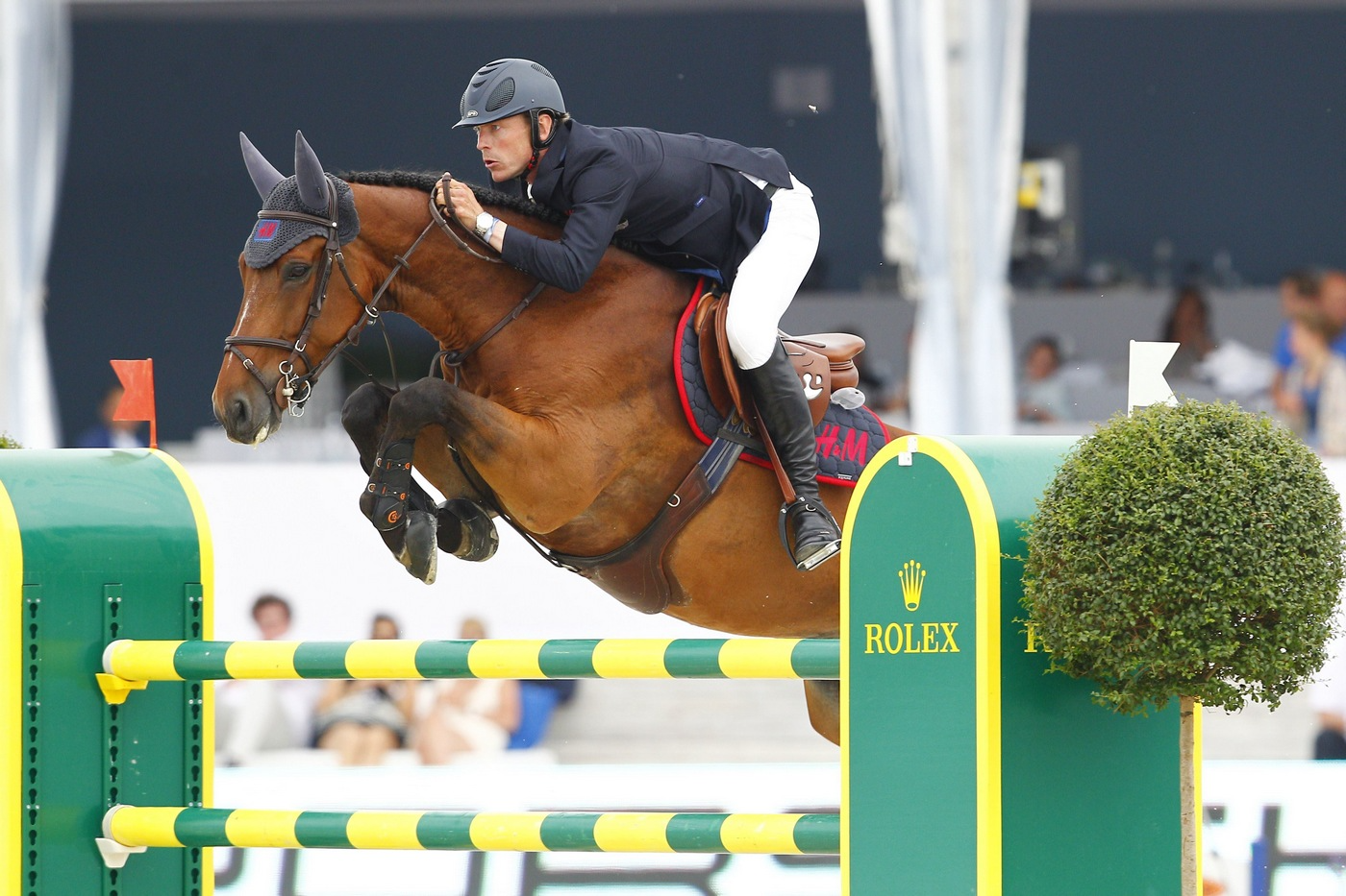 En 2015, H&M All In a fait ses débuts au plus haut niveau et a notamment pris la huitième place du Grand Prix CSI 5* de Knokke.