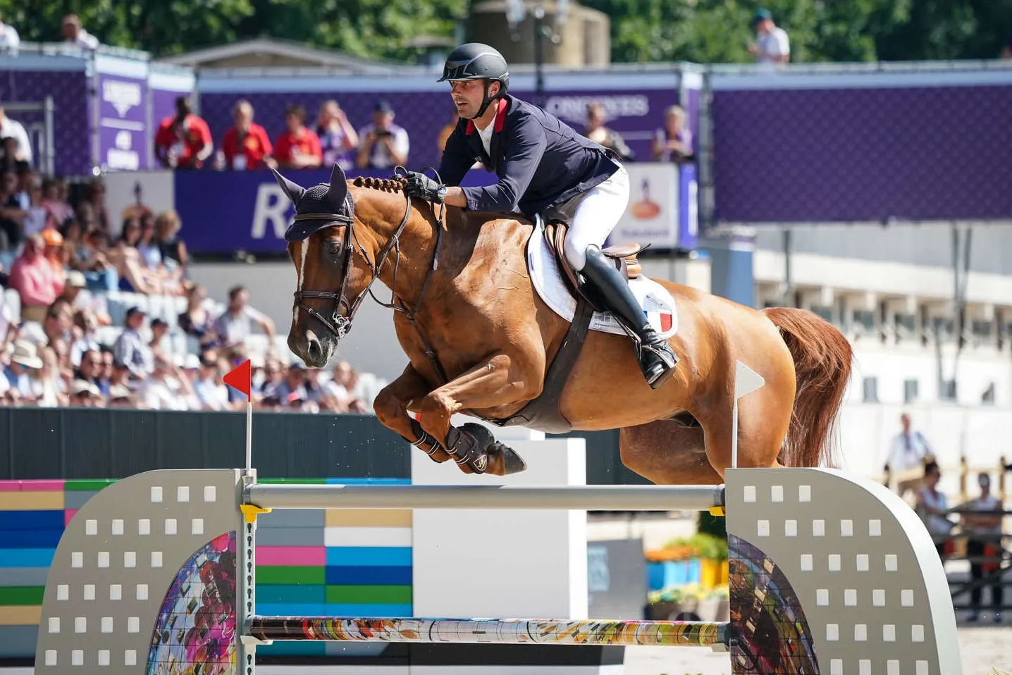 Aux championnats d'Europe FEI Longines de Rotterdam, en 2019, Urvoso du Roch a grandement aidé la France à obtenir sa qualification olympique.