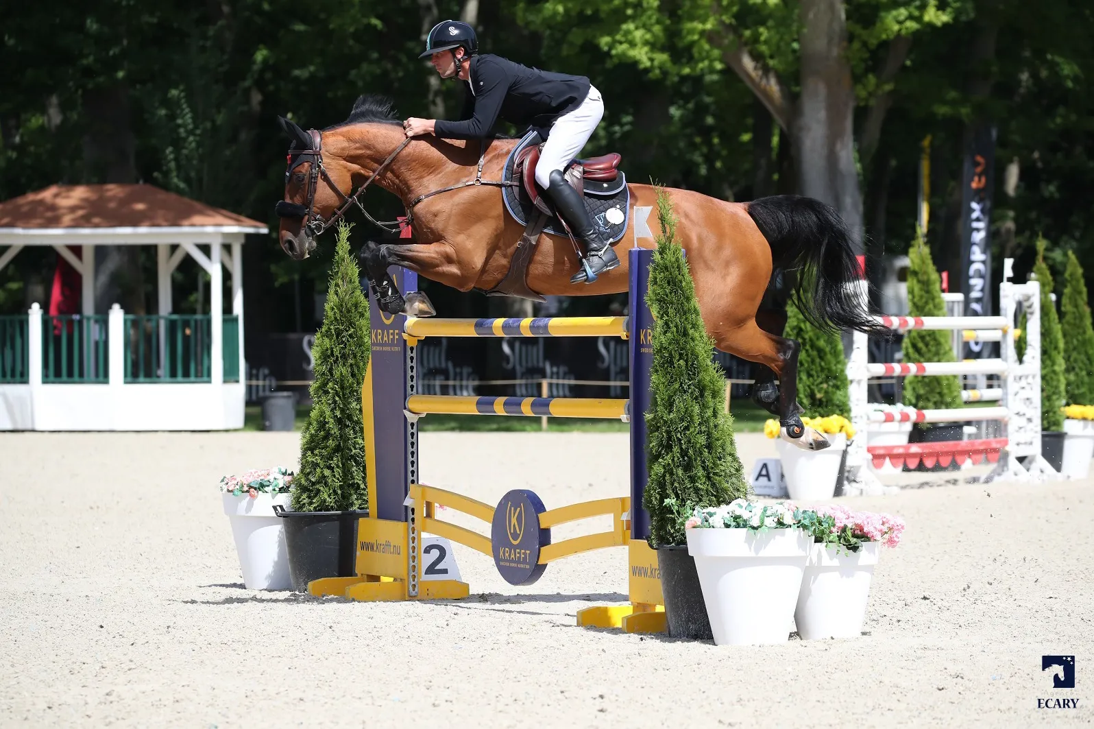 Avec Dialou Blue PS, Kevin Staut a pris une belle cinquième place. 