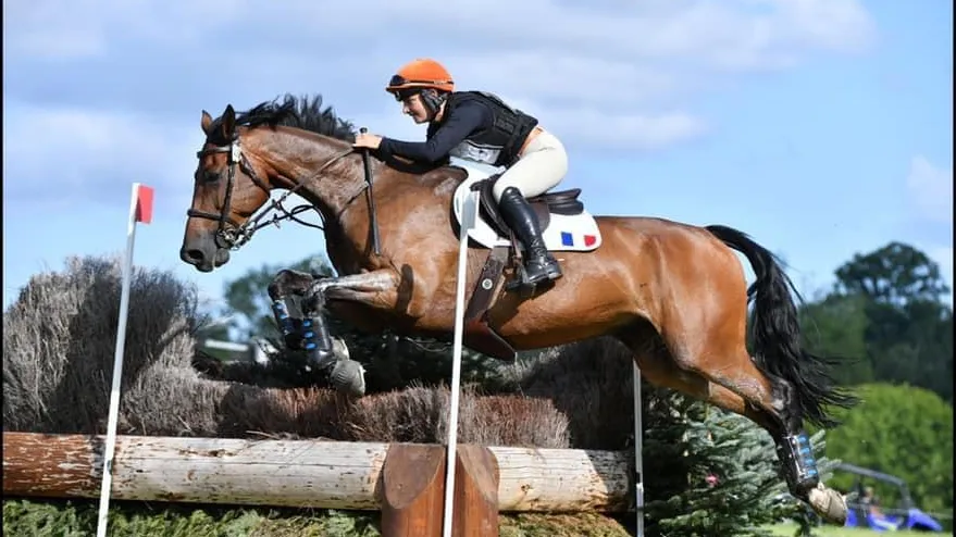 Bien entendu, “le point commun entre toutes ces activités reste le cheval”, que Camille ne voit pas “comme un outil de travail, mais comme un collègue ou un coéquipier.”