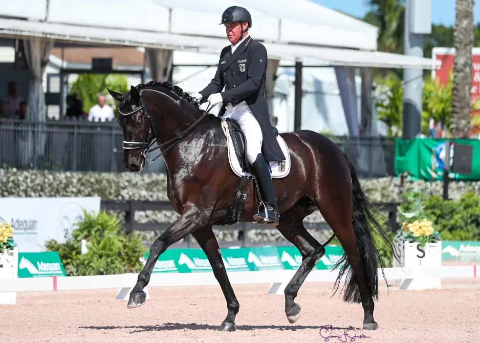 Chef d'équipe et cavalier, Michael Klimke a déroulé deux belles reprises avec Harmony's Sanrino.
