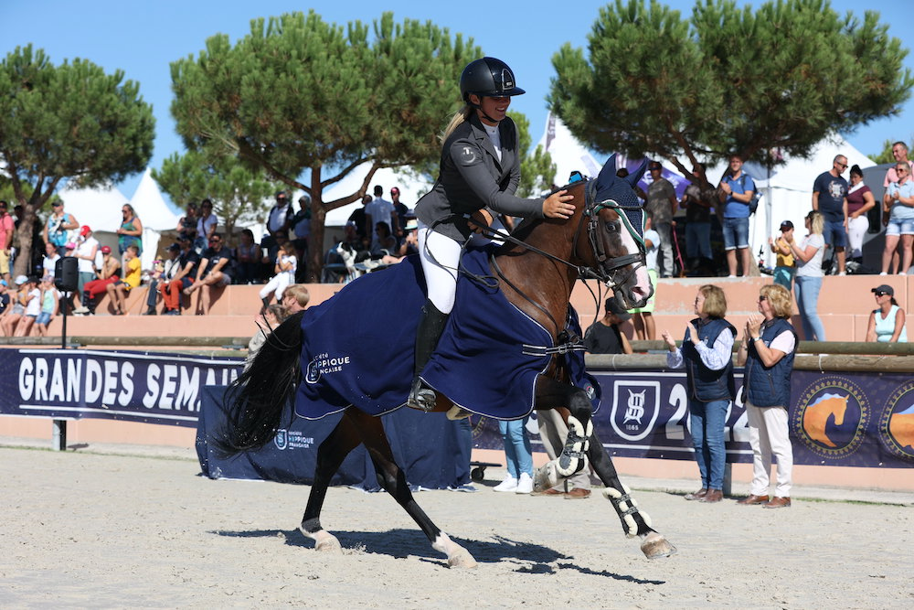 L'histoire de Goldenstar de Silly, champion de France des poneys de six ans D, est retracée.