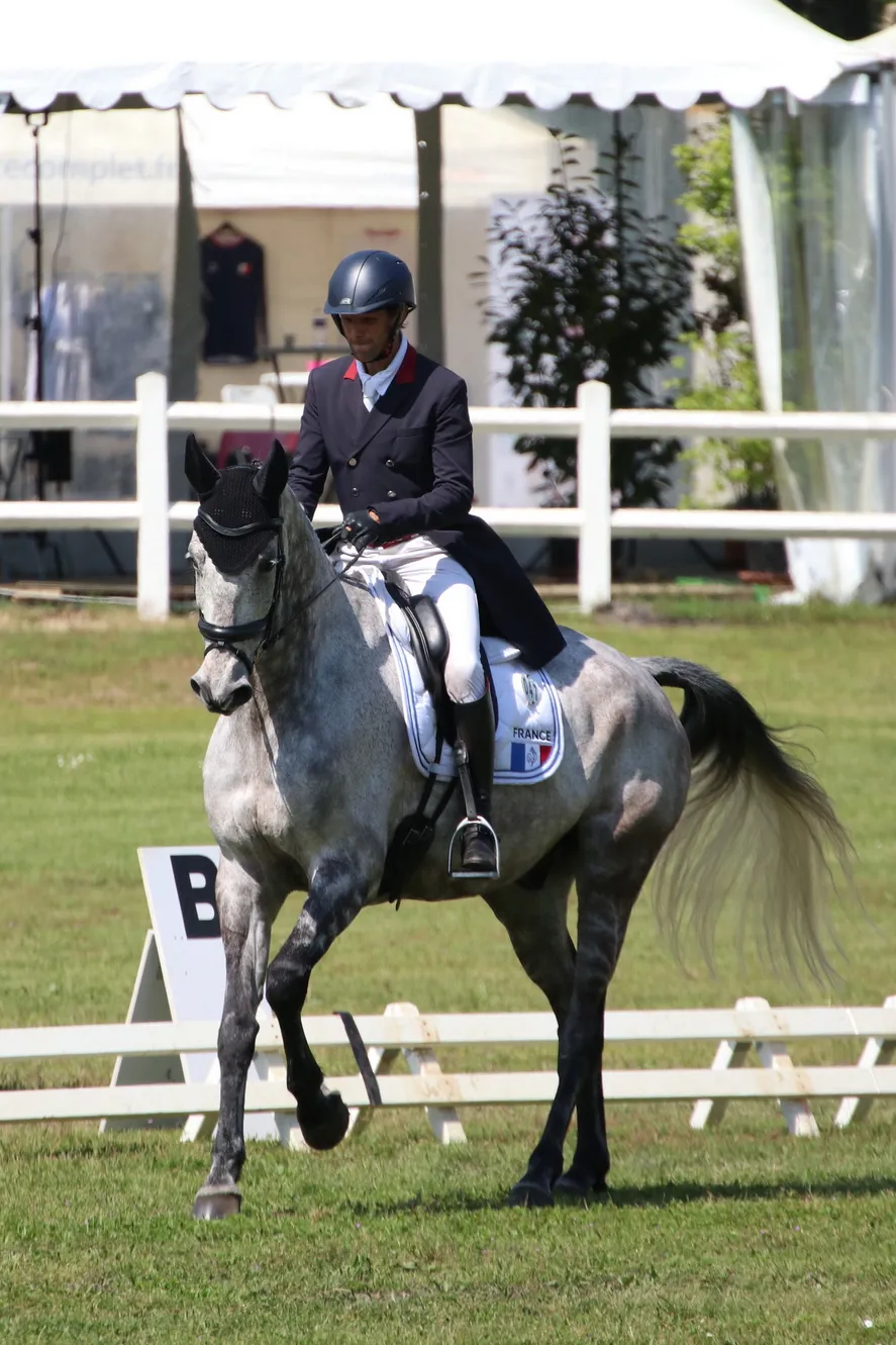 Nicolas Touzaint et Diabolo Menthe étaient en tête avant le travail au galop.