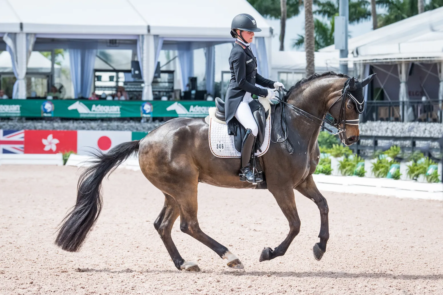 Felicitas Hendricks et Drombusch 2.
