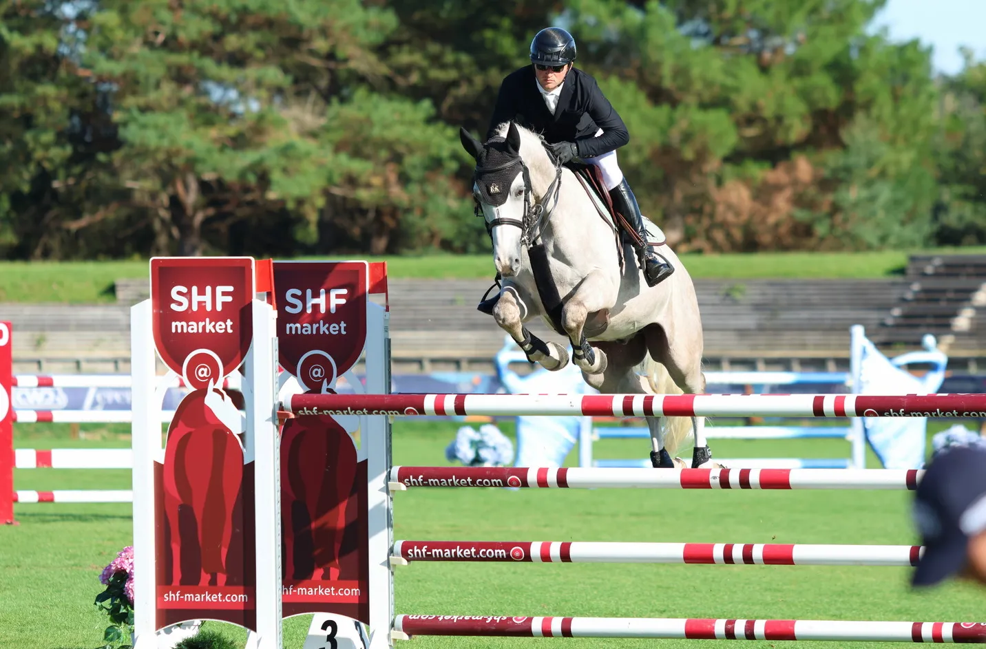 Jericho d’Oz est le nouveau champion de France des hongres de six ans
