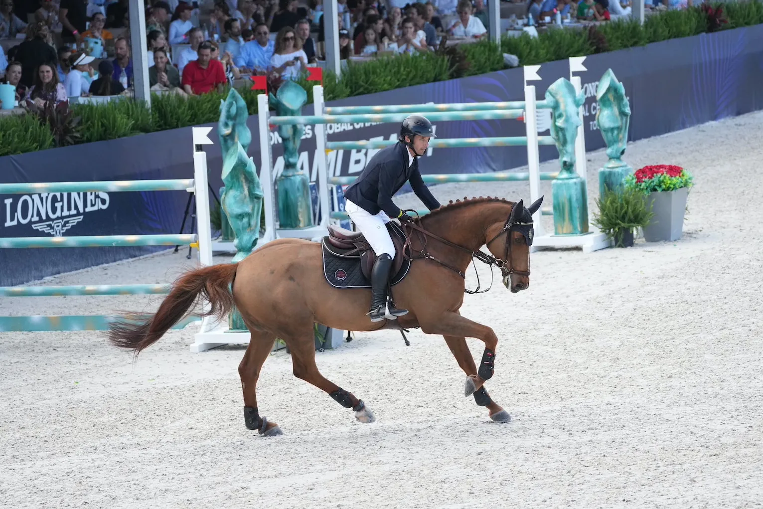 Caresse méritée pour Bentley de Sury!