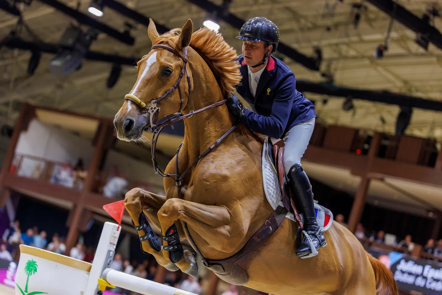 Julien Épaillard et Dubaï du Cèdre forment le couple qui a recueilli le plus de vos suffrages