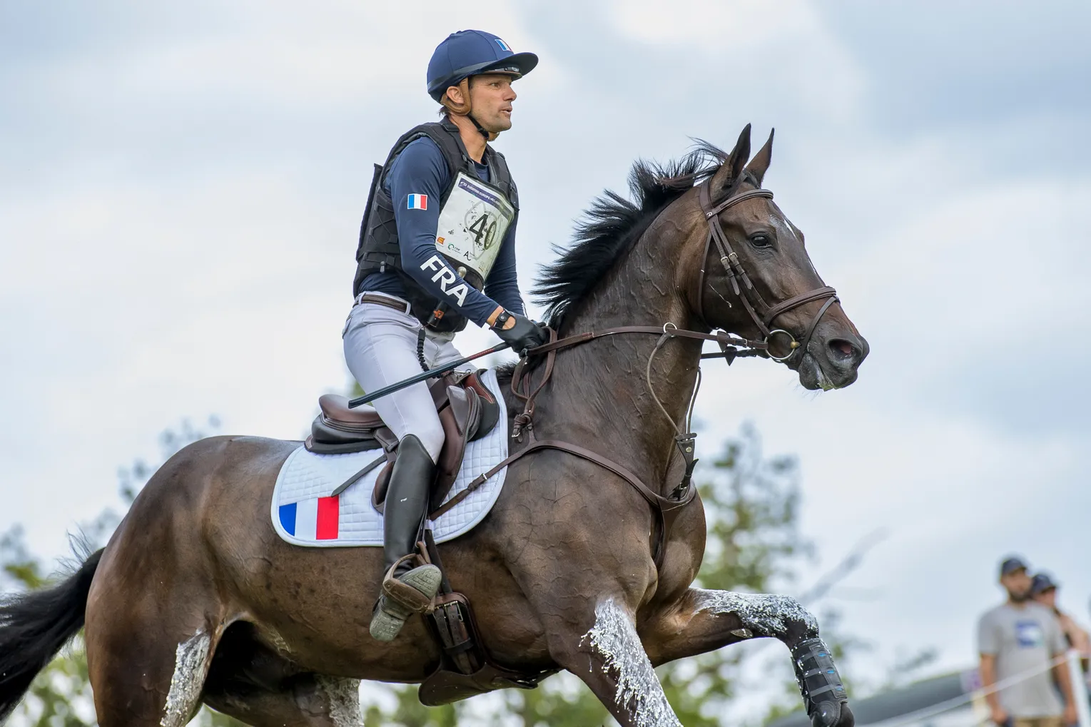Cet été, Absolut Gold*HDC a permis à Nicolas Touzaint de décrocher une belle cinquième place aux Européens du Pin-au-Haras.