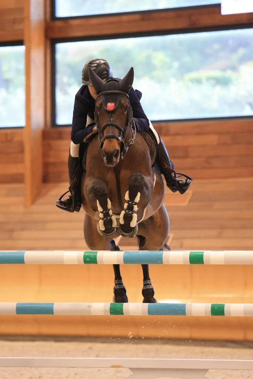 Aux rênes de Venizia d'Aiguilly, ici à Valence lors de la première édition indoor de l'Hubside Jumping, Olivier Perreau a remporté cette année son premier Grand Prix CSI 5*.