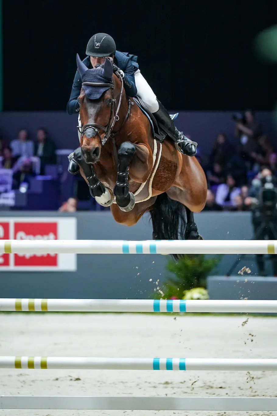 Édouard Schmitz et Gamin van’t Naastveldhof, deuxièmes de l'épreuve. 