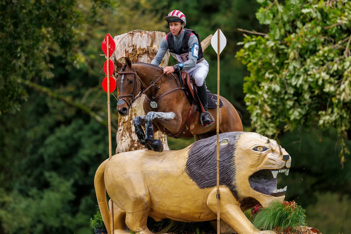 Championne du monde des six ans l'an passé, Golden de Béliard est troisième chez les sept ans avant l'hippique