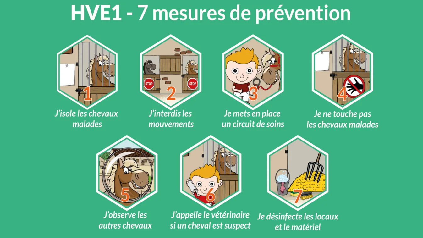 Voici sept mesures de prévention contre la rhino, qu’il est toujours utile de rappeler
