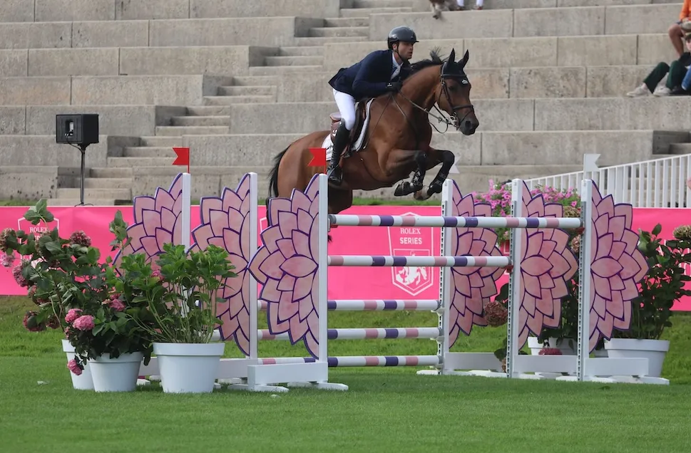 Ici sous la selle d’Edward Lévy lors du CSI 3* de Dinard, For Millions de Pao a notamment pris part à des épreuves cotées à 1,55m avec lui.