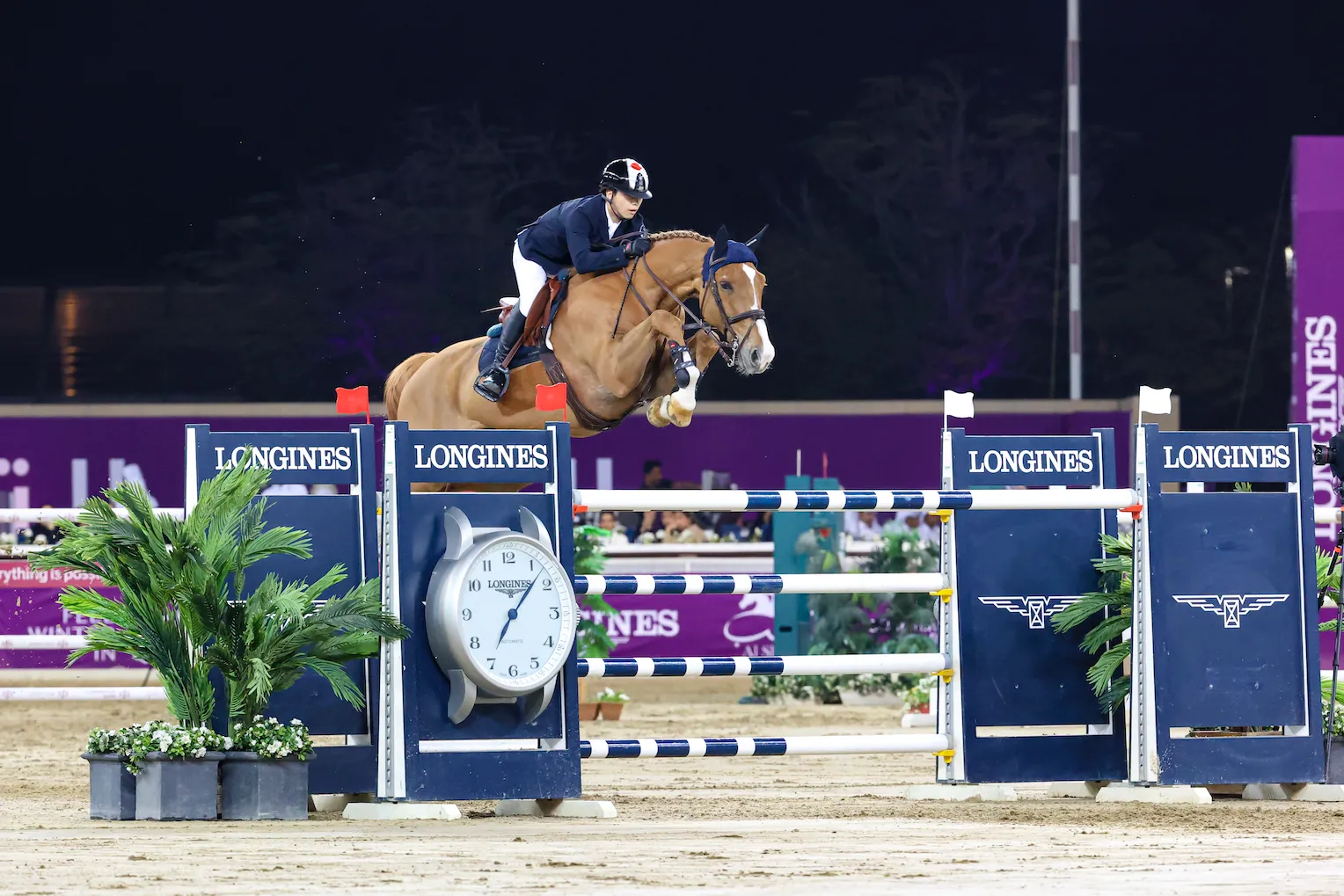 La puissance de Saxo de la Cour, dix-sept ans et toujours fringant!