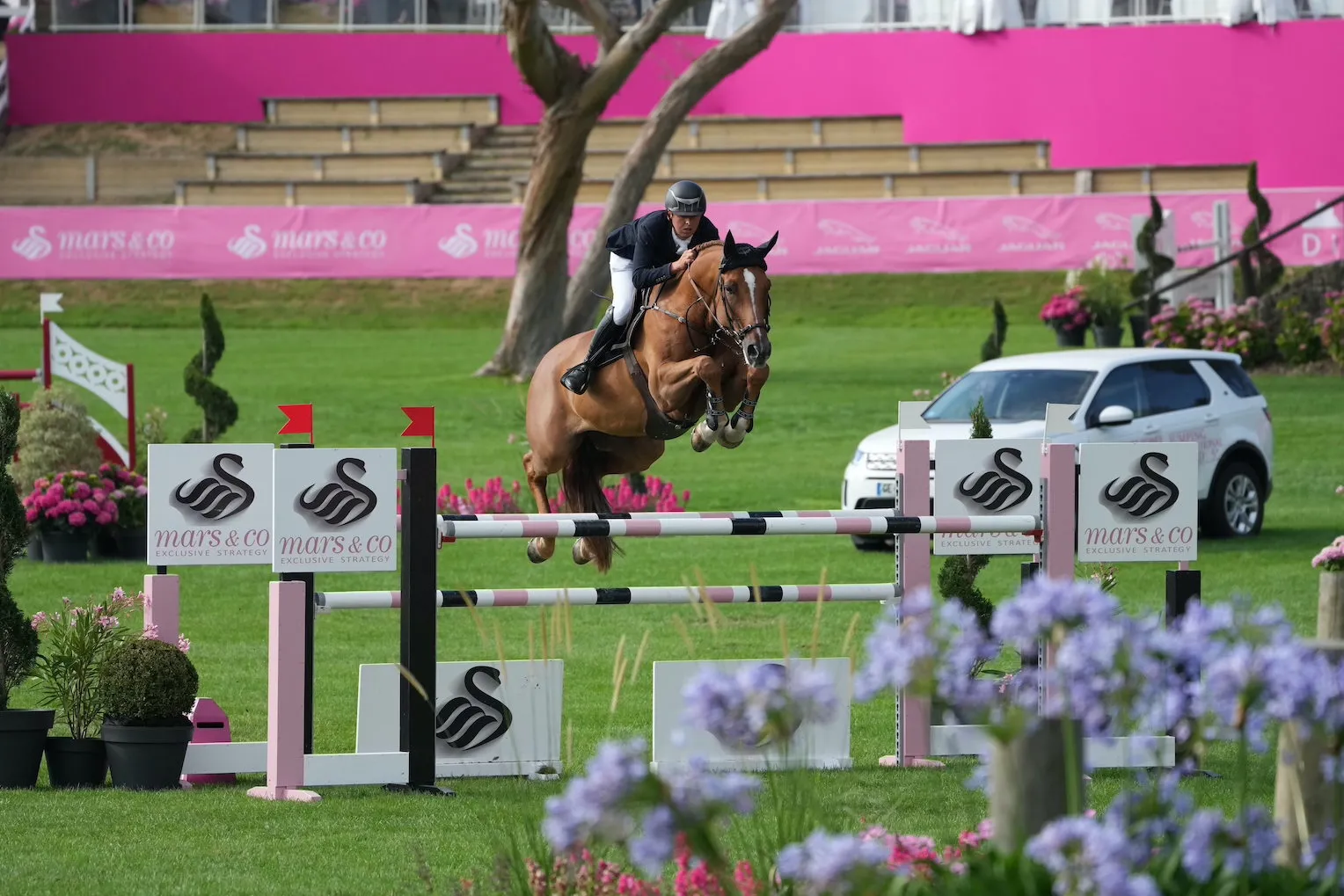 Belle deuxième place pour le jeune Selle Français Empoli de Champloué, ici au CSI 5* de Dinard fin juillet. 