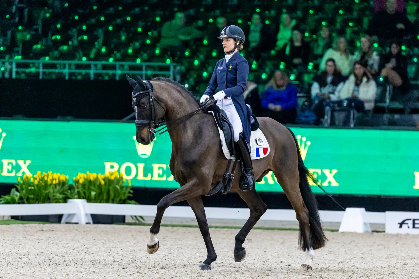Ici dans le Grand Prix de jeudi, Pauline Basquin et Sertorius de Rima*IFCE ont réalisé une très belle performance dans la Libre ce samedi.