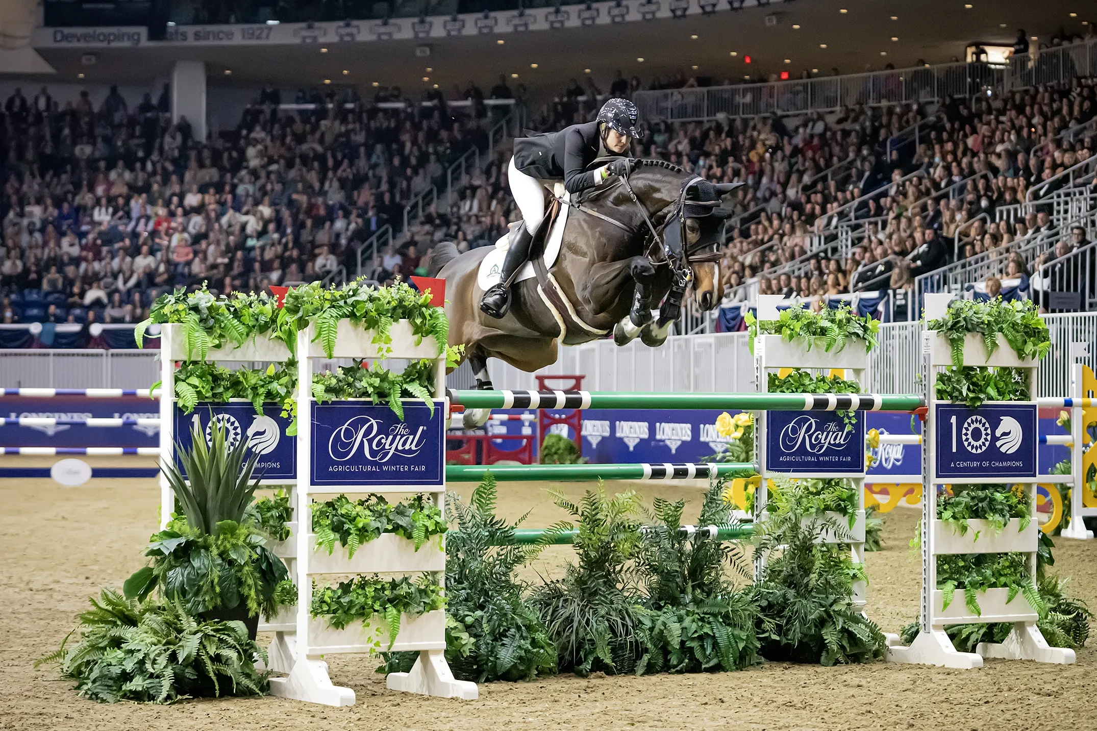 Tiffany Foster et Northern Light, troisièmes du Grand Prix.