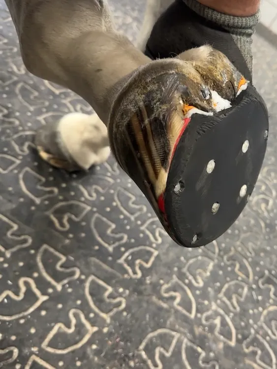 Des plaques de caoutchouc collables (ici avec une colle rouge) apportent le confort d’un amorti doublé de la liberté de la fourchette.