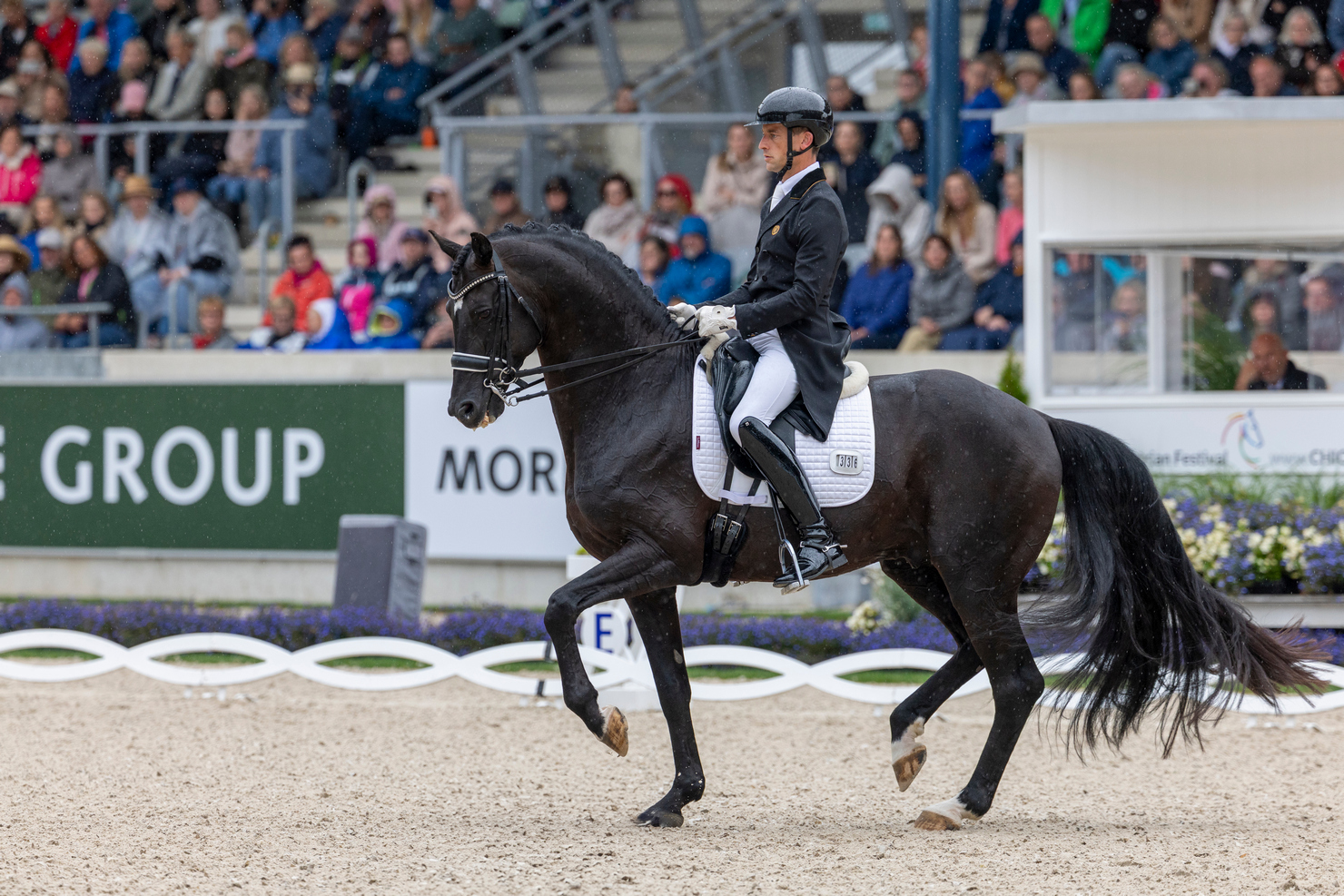 Ici à Aix-la-Chapelle, où il a remporté deux brillantes victoires début juillet, Zonik Plus fait partie des cinq chevaux de neuf ans au départ de ces Européens