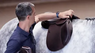 Trouver la selle parfaite pour un cheval et son cavalier relève à la fois de l'art et de la science, et nécessite souvent l'aide d'un saddle fitter qualifié.
