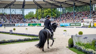 Le para-dressage fera son entrée cet été dans les disciplines ayant eu la chance de se produire à Aix-la-Chapelle.