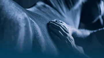 GastriProtect, le nouvel aliment signé Destrier, protège la muqueuse gastrique des chevaux athlètes et prolonge la salivation pour préserver leur confort digestif, leur bien-être et, à terme, leurs performances.