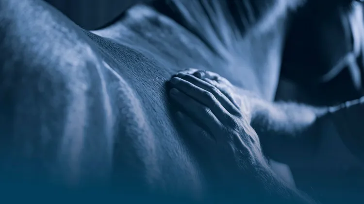 GastriProtect, le nouvel aliment signé Destrier, protège la muqueuse gastrique des chevaux athlètes et prolonge la salivation pour préserver leur confort digestif, leur bien-être et, à terme, leurs performances.