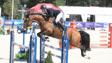 Gold Sky de Pégase, champion des mâles et hongres de cinq ans