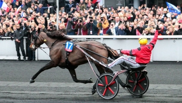 Bold Eagle, vainquer des Grands Prix d'Amérique 2016 et 2017