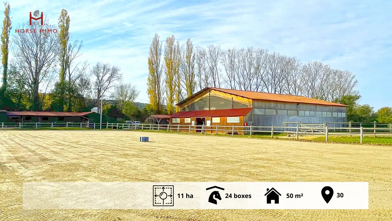 À vendre écurie avec de belles installations équestres dans le