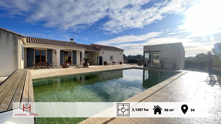 Bassin de Thau – Belle villa avec dépendances équestres