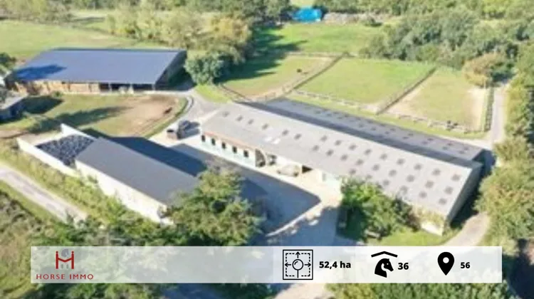 Superbe haras situé dans le Morbihan, spécialisé en reproduction équine et offrant un outil de travail complet et clé en main