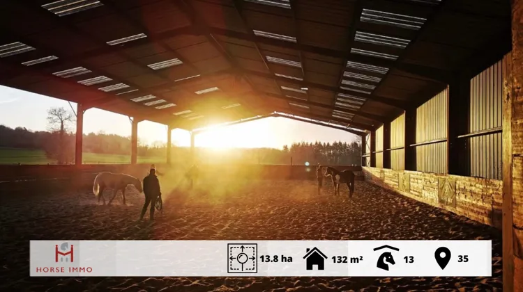 Propriété équestre de 13 hectares près de Rennes, avec maison contemporaine de 2016 (4 chambres), barn de 13 boxes et ses installations, manège couvert et carrière extérieure.