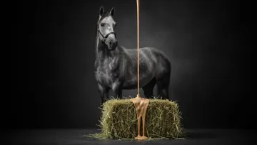 FB Nutrition la révolution de l'alimentation