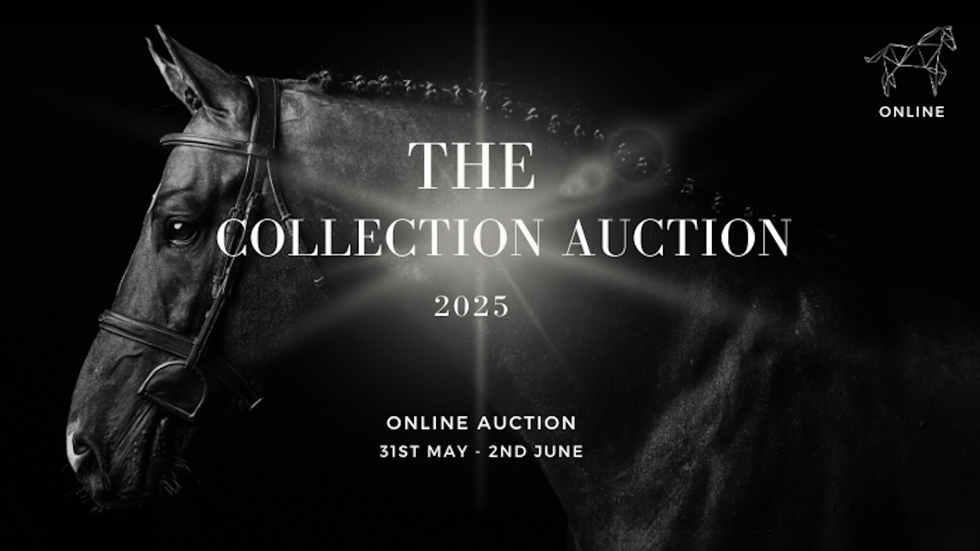 The Collection Auction
